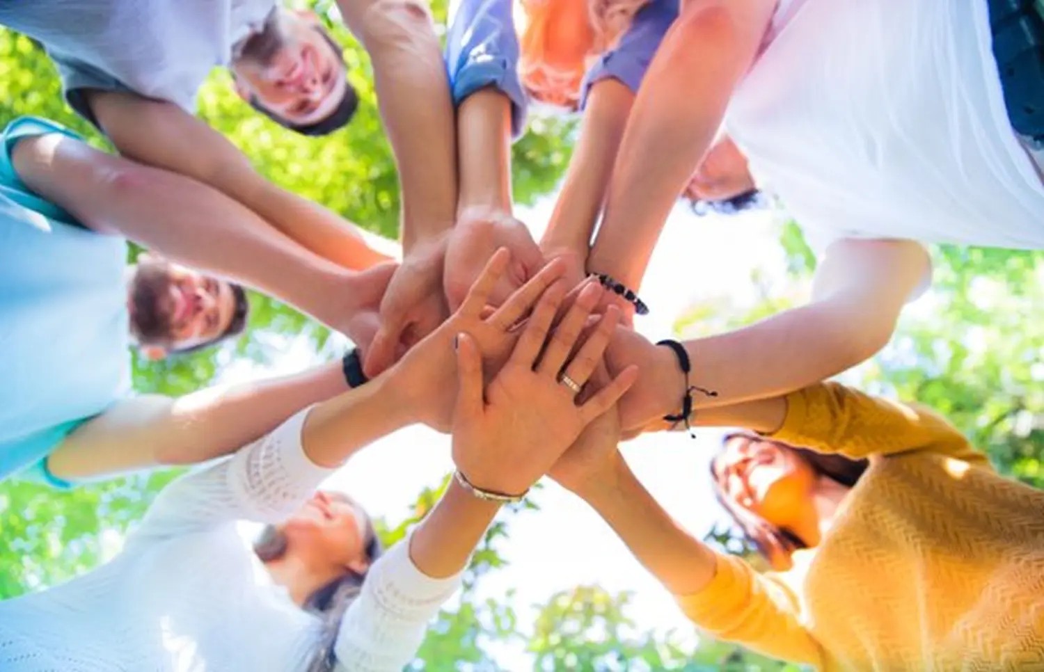 Care Plus Ihr Haushalts- und Alltagsservice cover image