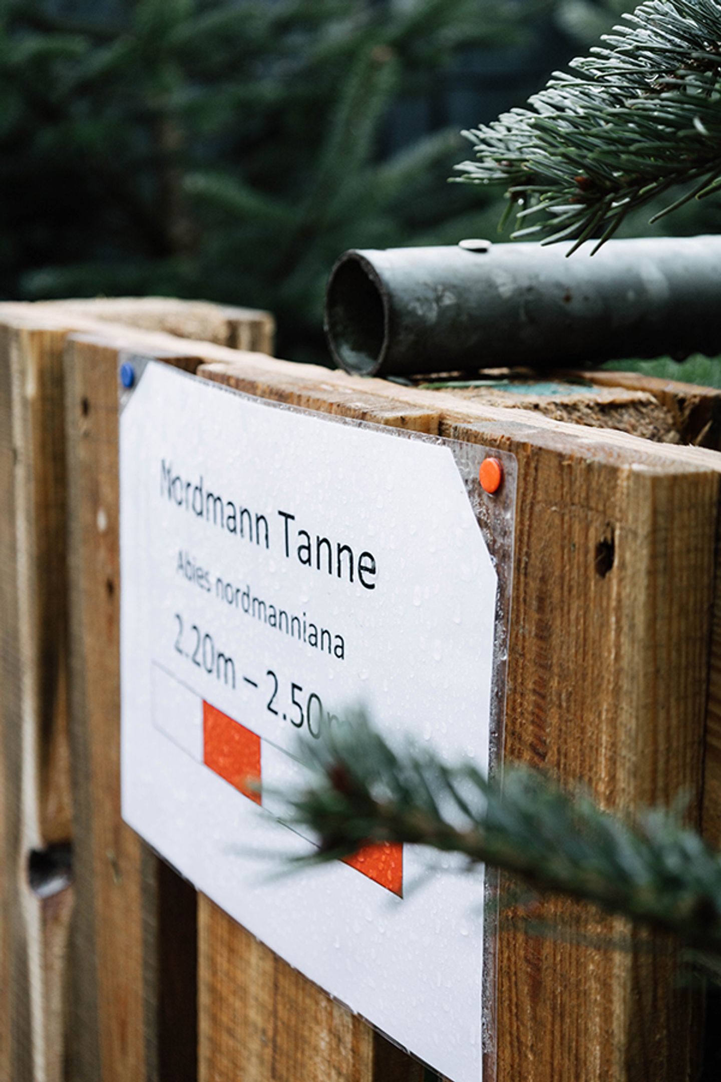 Beispielarbeit von Garten-Center Spiering GmbH Wesel - veröffentlicht auf Gartenbau.org