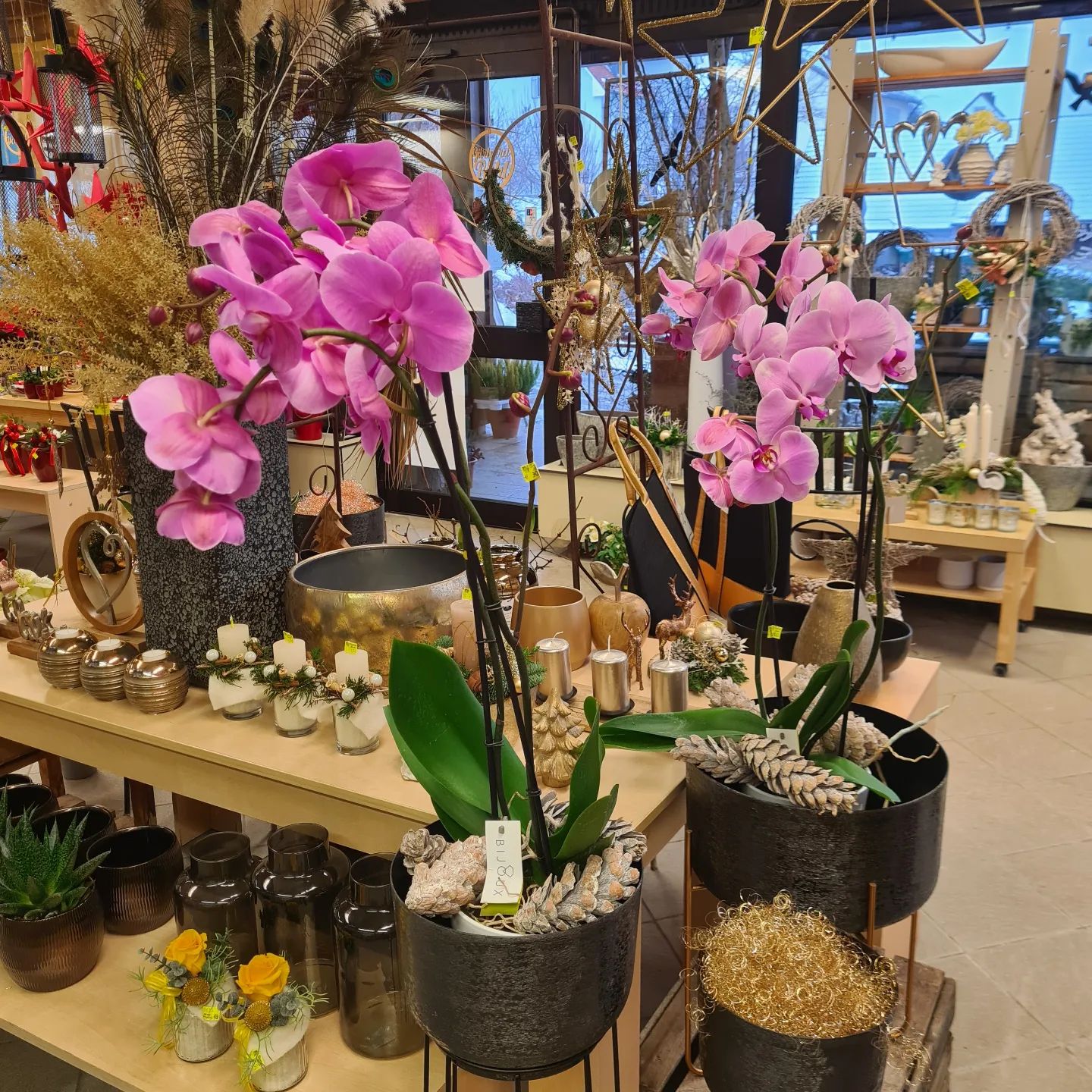 Beispielarbeit von Gärtnerei und Blumenladen Bichl - veröffentlicht auf Gartenbau.org
