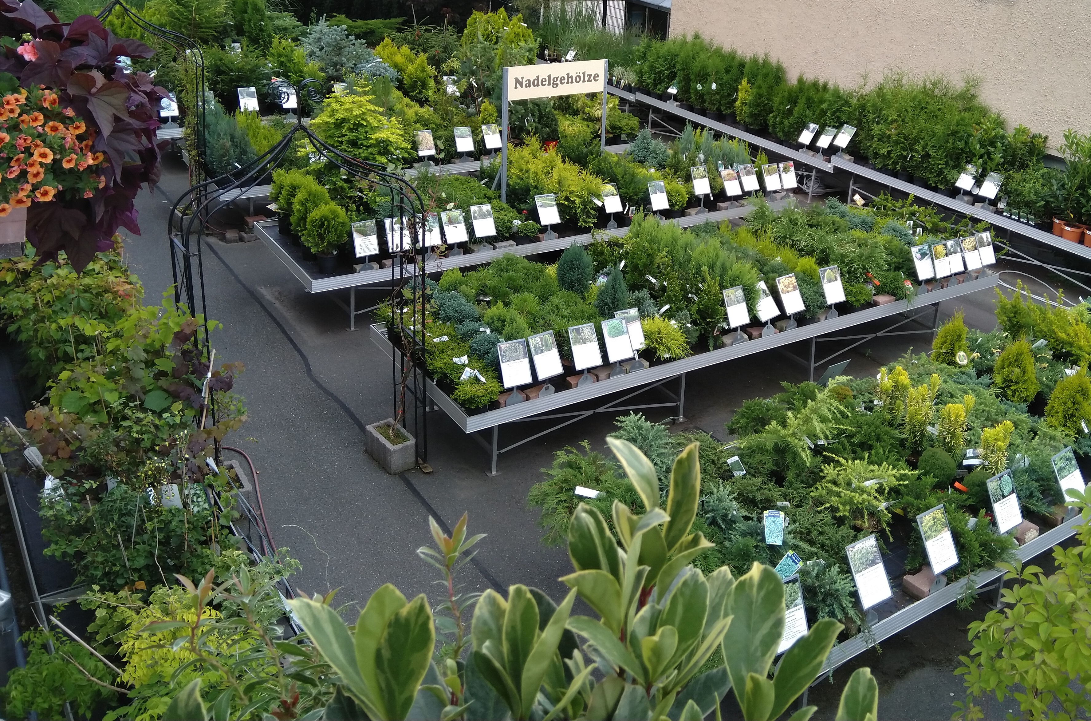 Beispielarbeit von Gartenfachmarkt Zschopauer Straße - veröffentlicht auf Gartenbau.org
