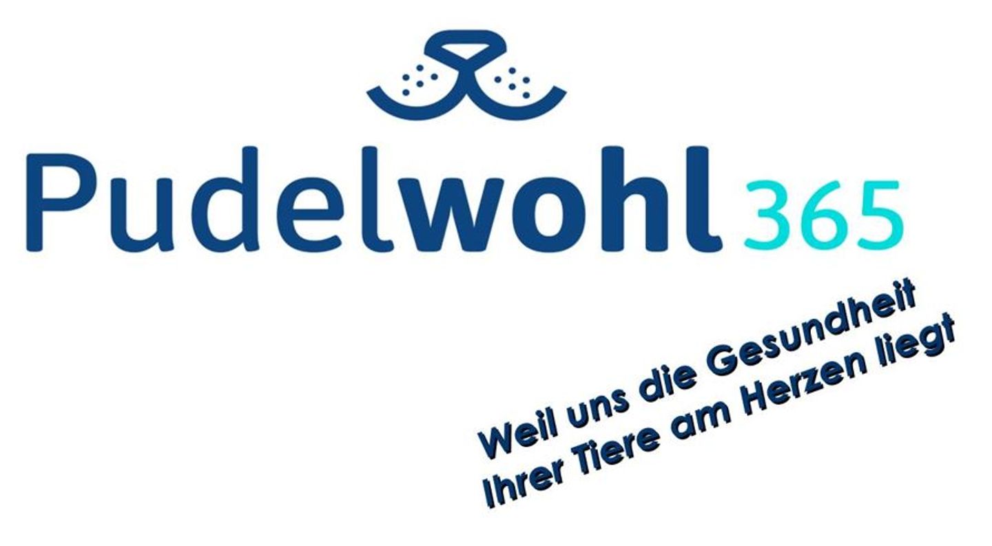 Beispielarbeit von Pudelwohl365 - spezialisiert auf Tierversicherungen - veröffentlicht auf Finanzberater.net