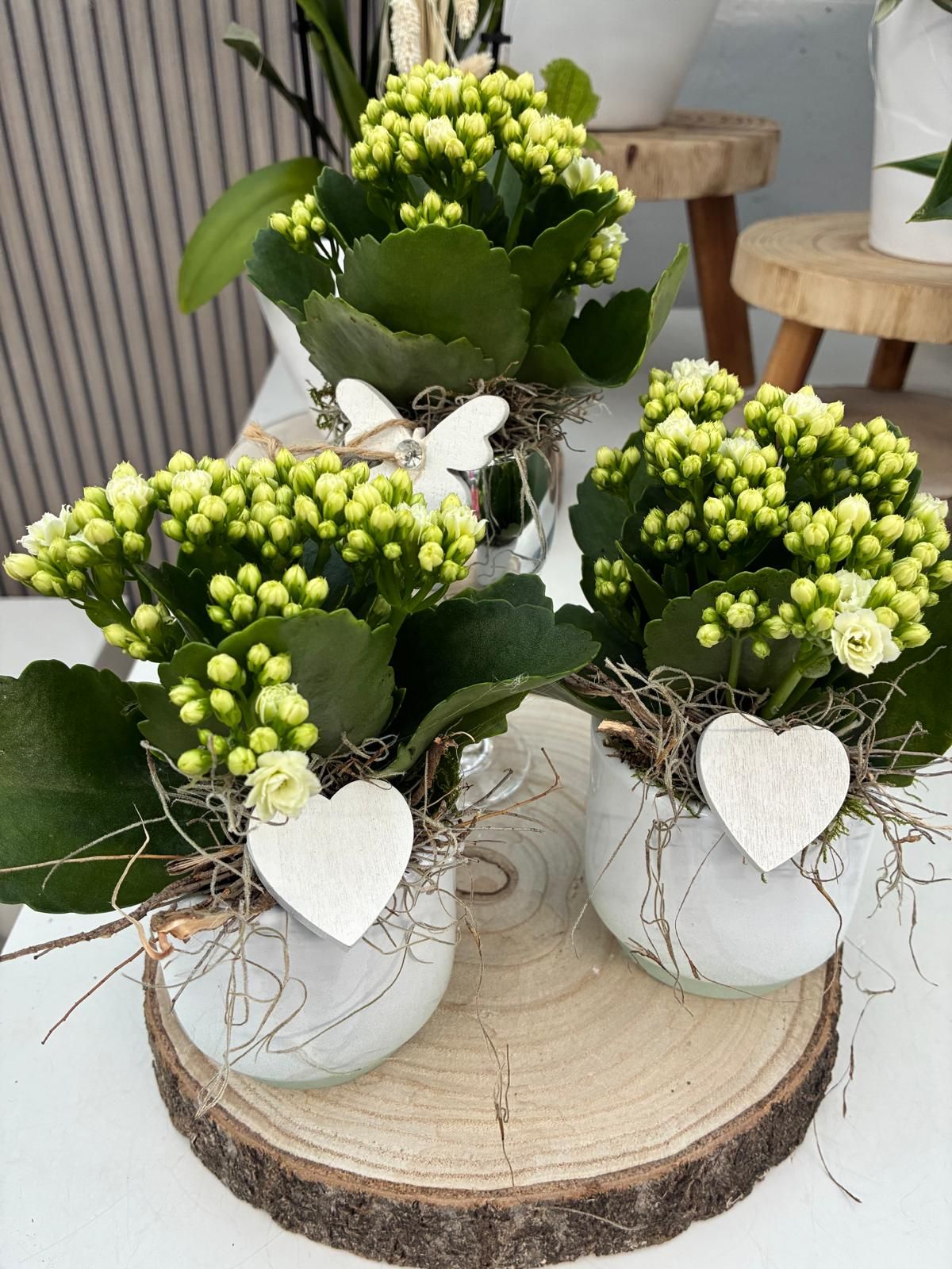 Beispielarbeit von Blumen Huff Inh. Thorsten Huff - veröffentlicht auf Gartenbau.org