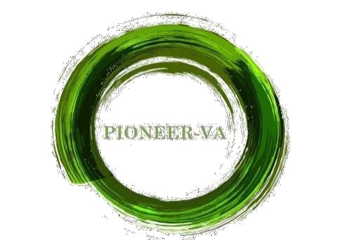 Logo der Firma PIONEER-VA Energieberatung aus Ingolstadt auf dem Branchenportal Steuer-Berater.de