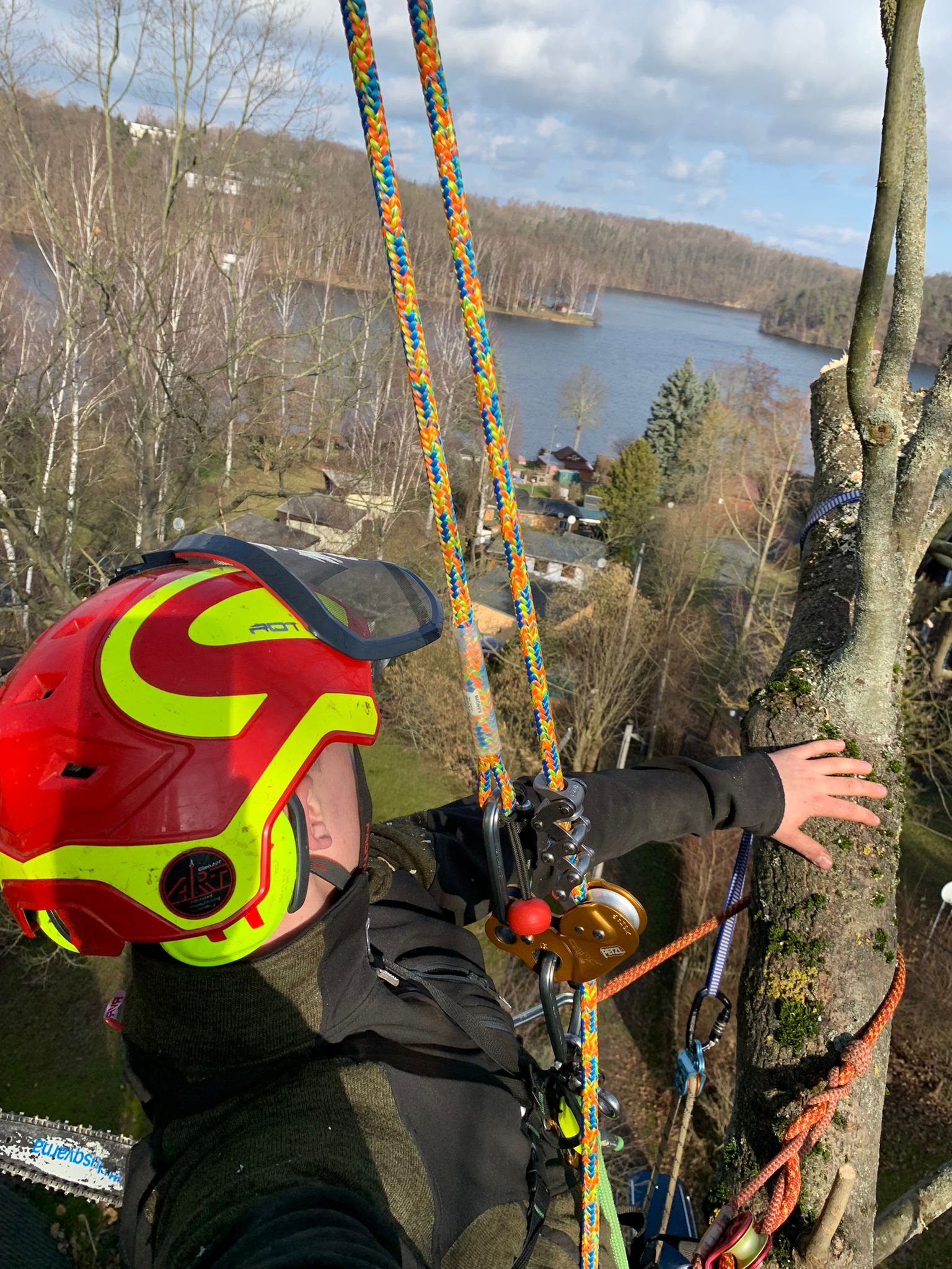 Beispielarbeit von Chemnitzer Forst- und Landschaftsservice - veröffentlicht auf Gartenbau.org