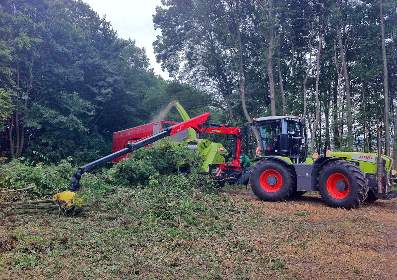 Beispielarbeit von Duwenhorst René Garten-Landschaftsbau-Tiefbau - veröffentlicht auf Bauunternehmen.org