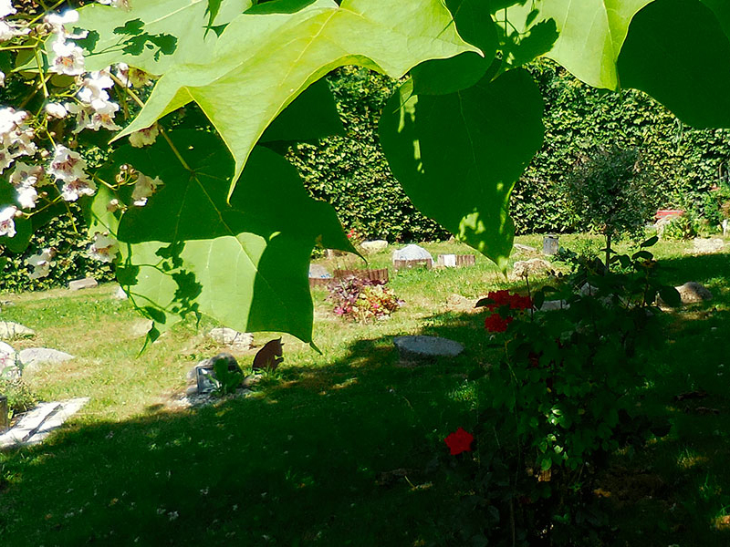 Beispielarbeit von Garten Zeißlhof - veröffentlicht auf Gartenbau.org