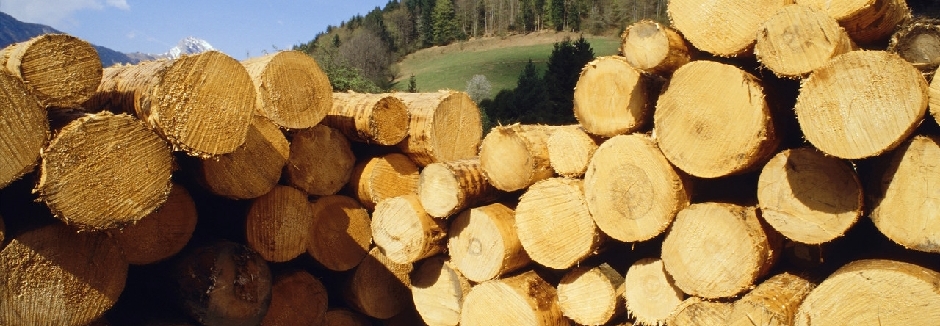 Beispielarbeit von Holler Stefan Holz & Parkett-Fußbodenbau - veröffentlicht auf Tischler-Schreiner.org