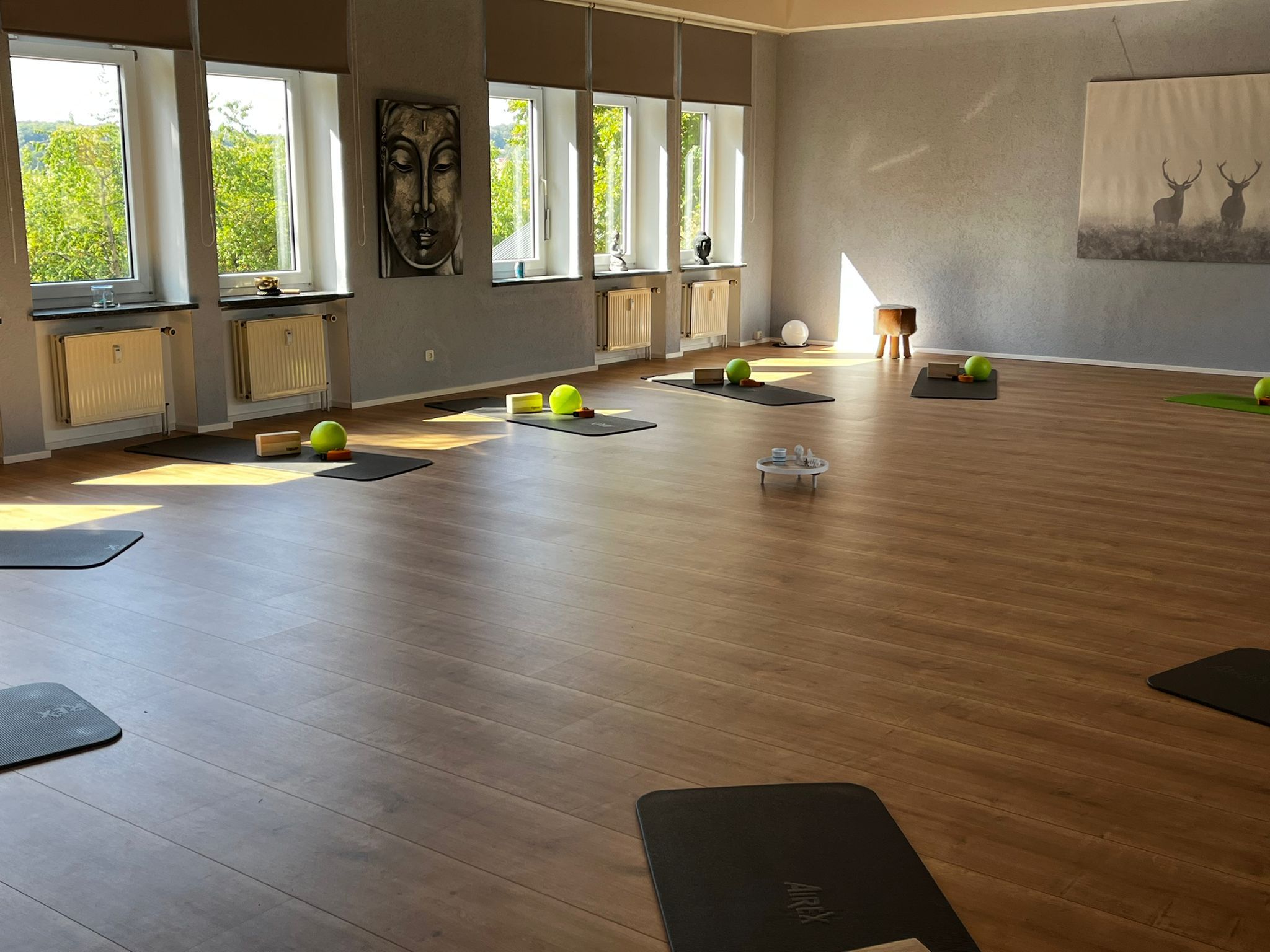 Beispielarbeit von Gesundheitssport in Melsungen & Felsberg Ambulanter Rehabilitationssport Pilataes-Aqua-Yoga-Walking-Kurse Ina-Karla Reuß - veröffentlicht auf Sanimio.de