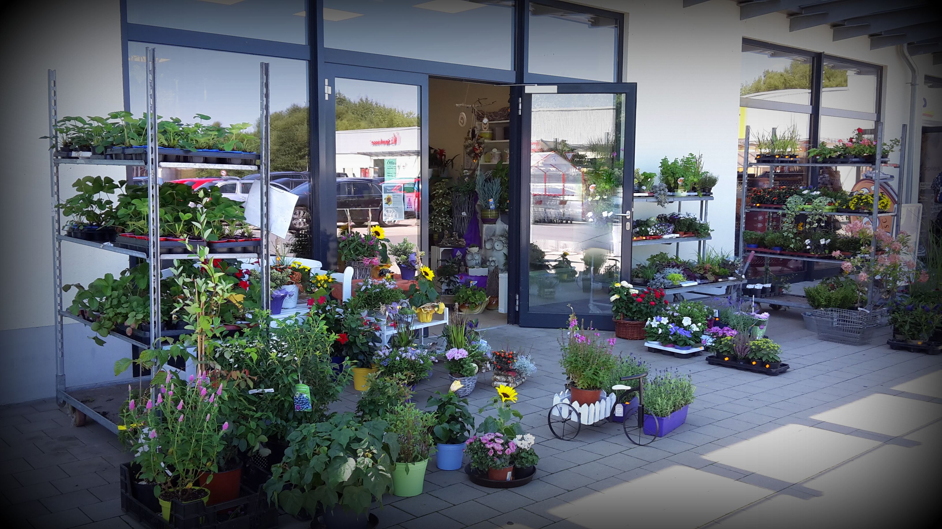 Beispielarbeit von Greizer Vogtlandblumen GmbH, Filiale Fraureuth - veröffentlicht auf Gartenbau.org