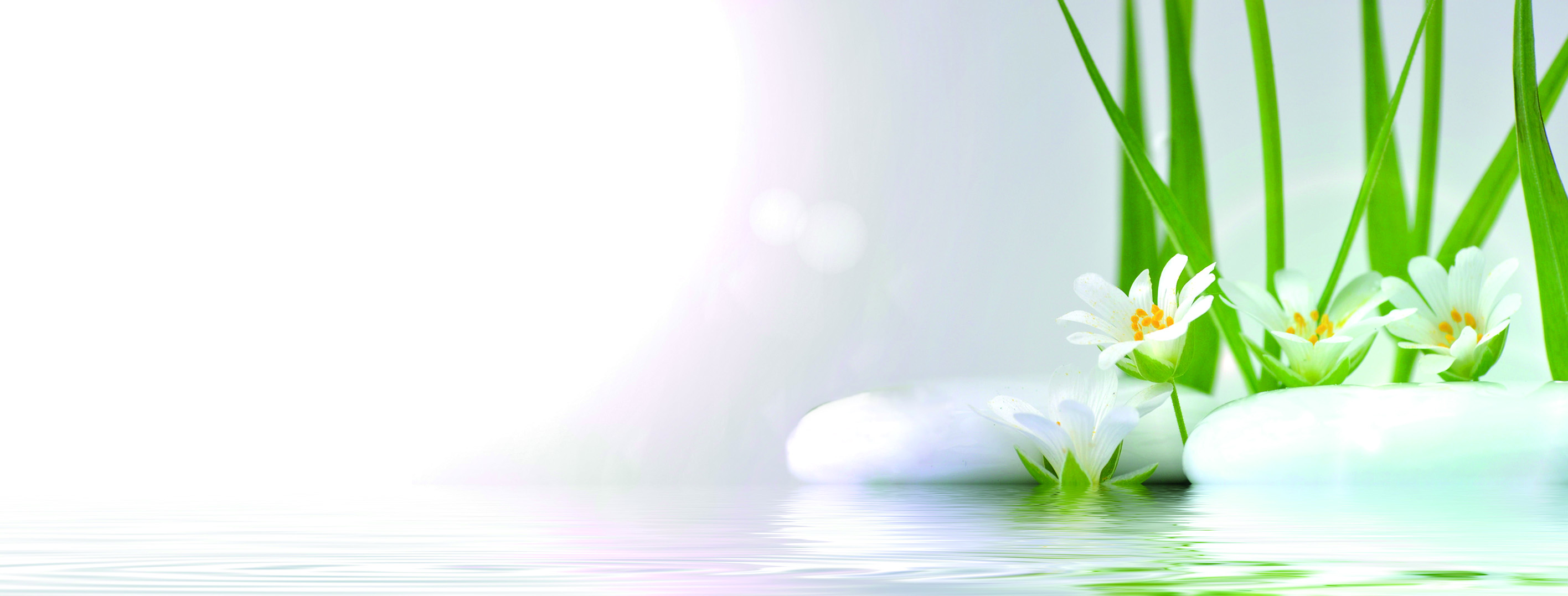 Podologie & Kosmetik Praxis Gröbel cover image