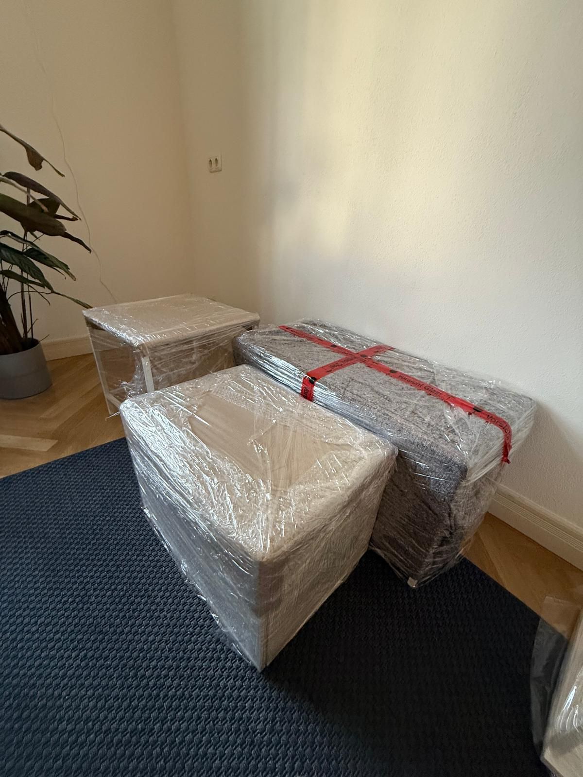 Beispielarbeit von XXL Reinigung Dresden - veröffentlicht auf Hausmeisterdienste.net