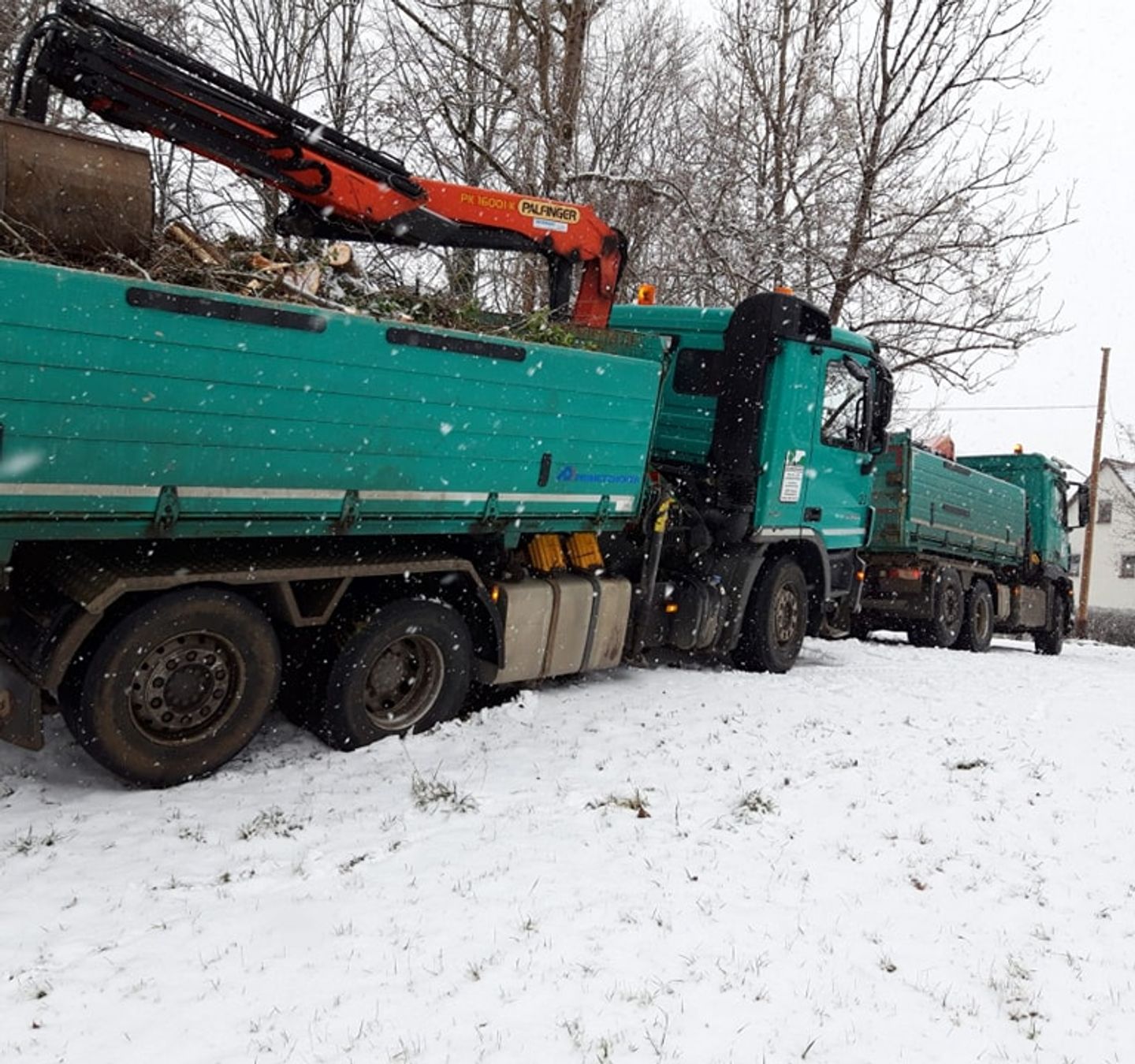 Beispielarbeit von Schernthaner GmbH Garten- und Landschaftsbau, Holzfällerei - veröffentlicht auf Gartenbau.org