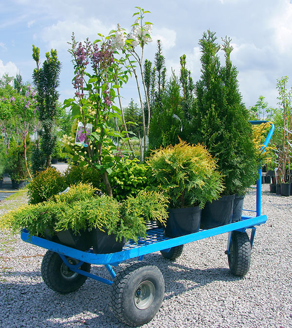 Beispielarbeit von GartenBaumschule Schneider - veröffentlicht auf Gartenbau.org