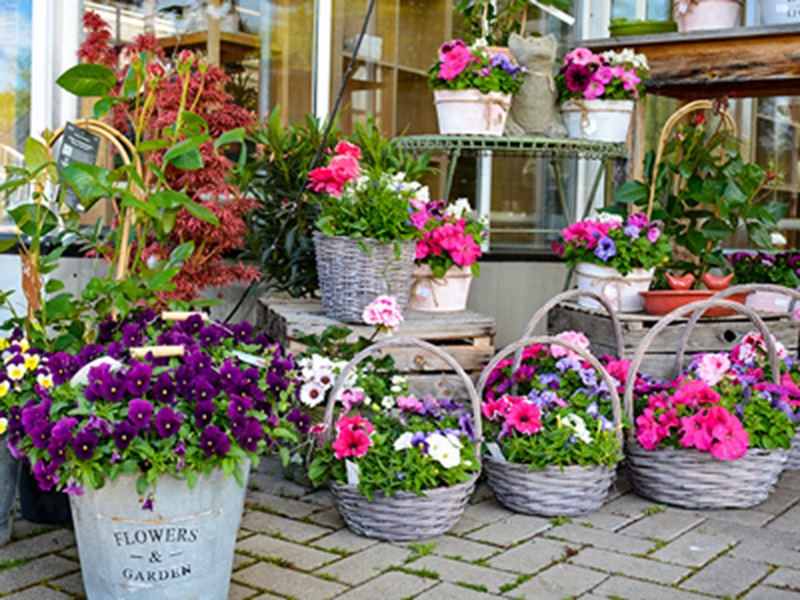 Beispielarbeit von Blumen Frahm&Cremers - veröffentlicht auf Gartenbau.org