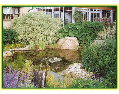 Beispielarbeit von ""Flora passionata'''' - veröffentlicht auf Gartenbau.org