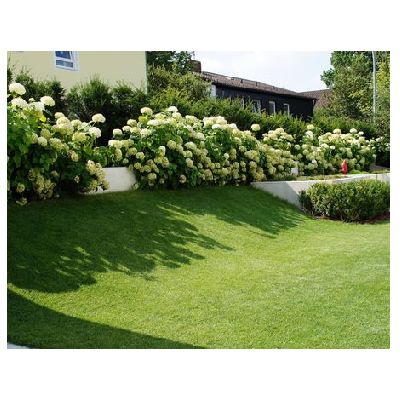 Beispielarbeit von Florian Vierthaler Garten- und Landschaftsbau - veröffentlicht auf Gartenbau.org
