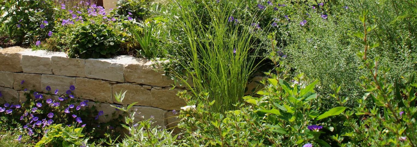 Florian Vierthaler Garten- und Landschaftsbau cover image