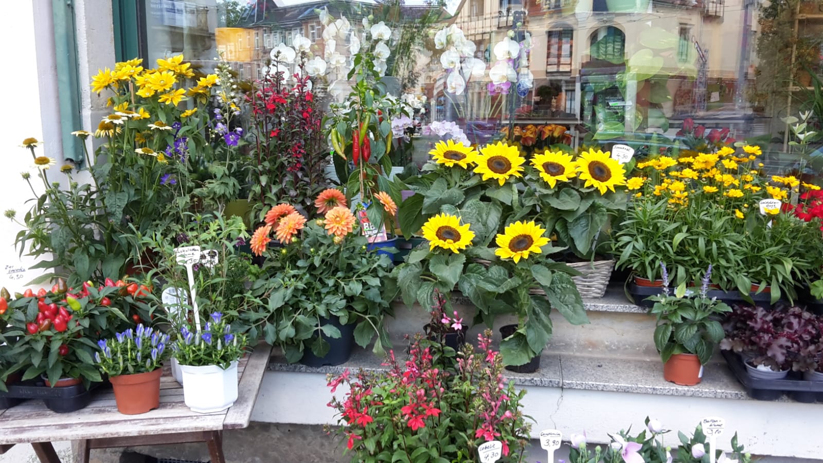 Beispielarbeit von hofmann + frau | blumen für alles - veröffentlicht auf Gartenbau.org