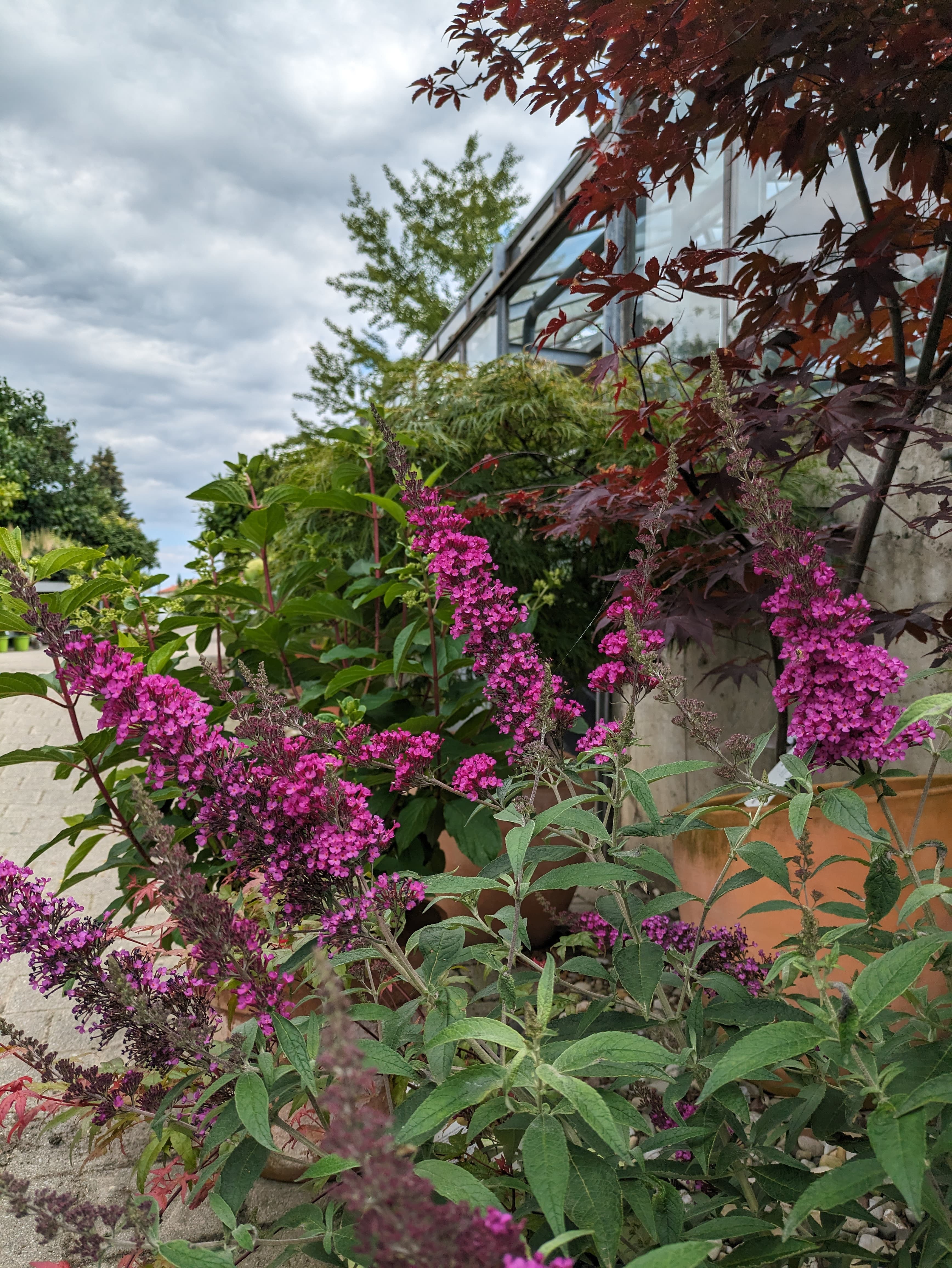 Beispielarbeit von Gärtnerei Siegl GbR | Gärtnerei Pfaffenhofen - veröffentlicht auf Gartenbau.org