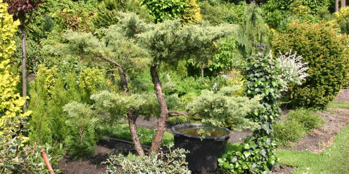 Beispielarbeit von Gartengestaltung Marc Sucker - veröffentlicht auf Gartenbau.org