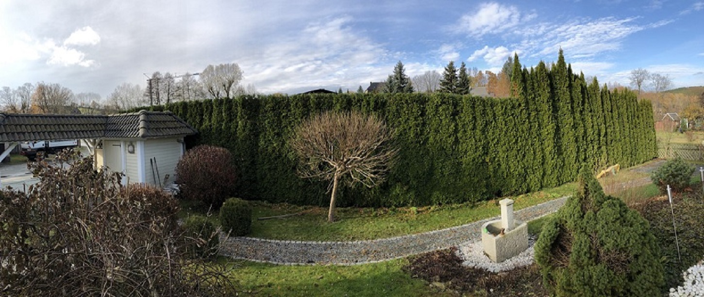 Beispielarbeit von Baumpflege & Baumfällung Bach GbR - veröffentlicht auf Gartenbau.org