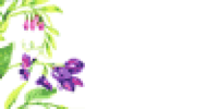 Logo der Firma Blumen - Nösner aus Gilching auf dem Branchenportal Gartenbau.org