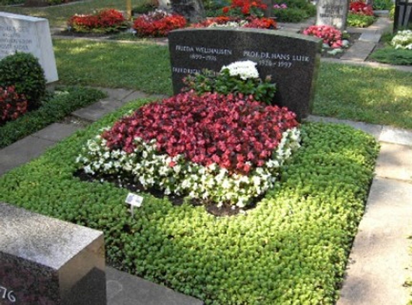 Beispielarbeit von Gärtnerei Rudolf Siebert - veröffentlicht auf Gartenbau.org