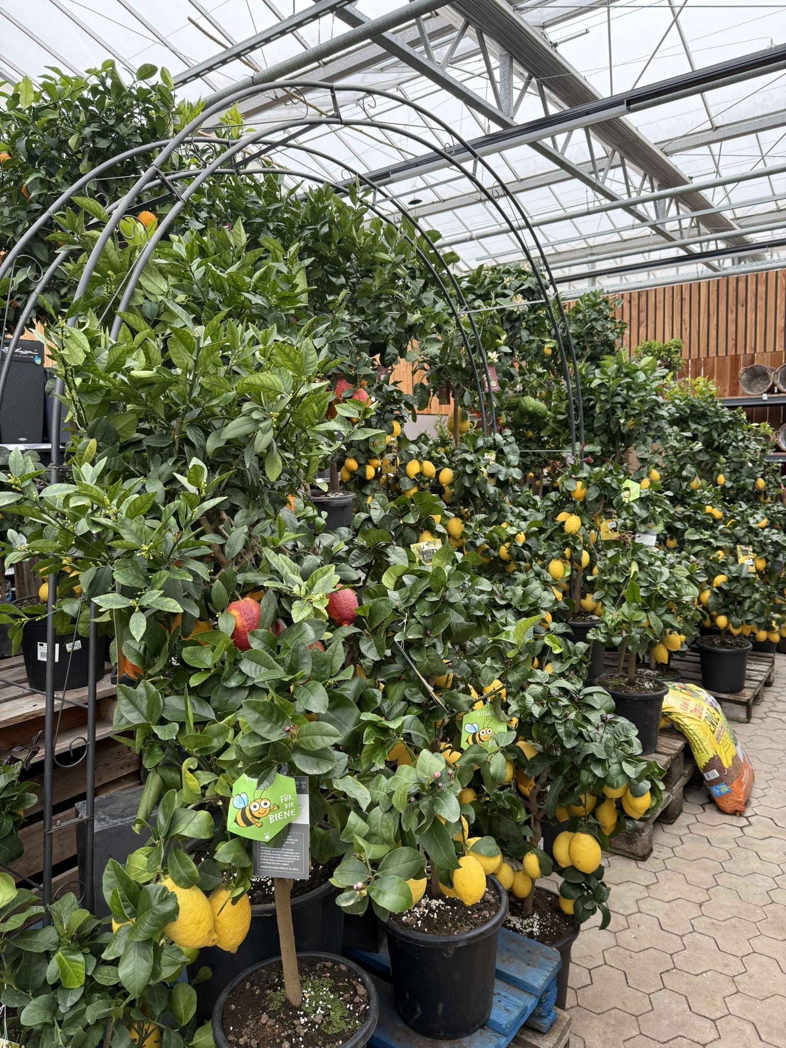 Beispielarbeit von 1 A Garten Zitzelsberger - veröffentlicht auf Gartenbau.org