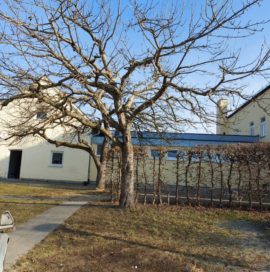Beispielarbeit von Garten- und Landschaftsbau Joachim Drexler - veröffentlicht auf Gartenbau.org