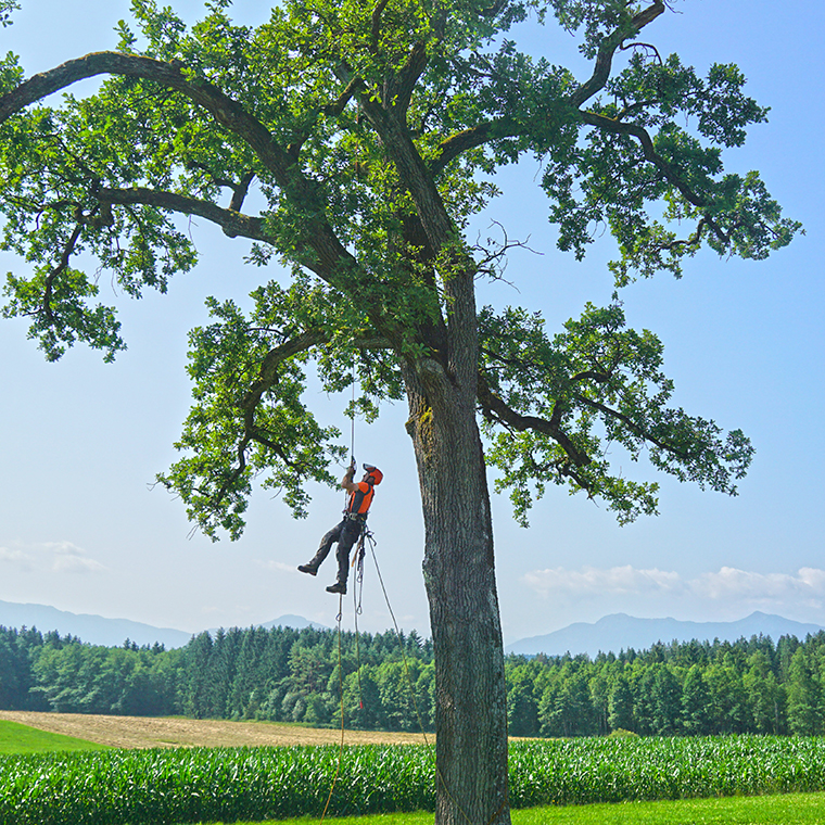 Beispielarbeit von Landschaftspflege Hubert Mayr - veröffentlicht auf Gartenbau.org