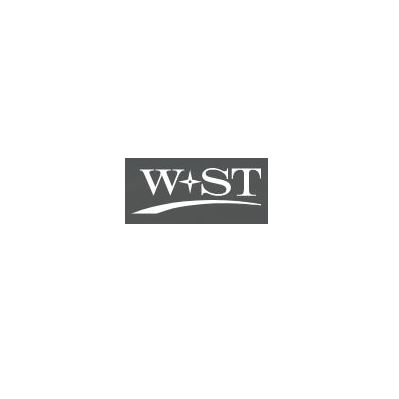 Logo der Firma W + ST Steuerberatungsgesellschaft mbH aus Albstadt auf dem Branchenportal Steuer-Berater.de