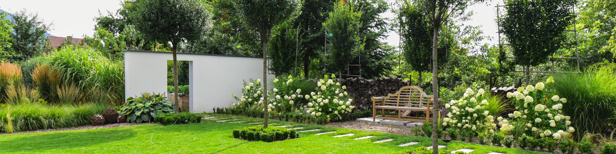 Aumiller Michael cover image