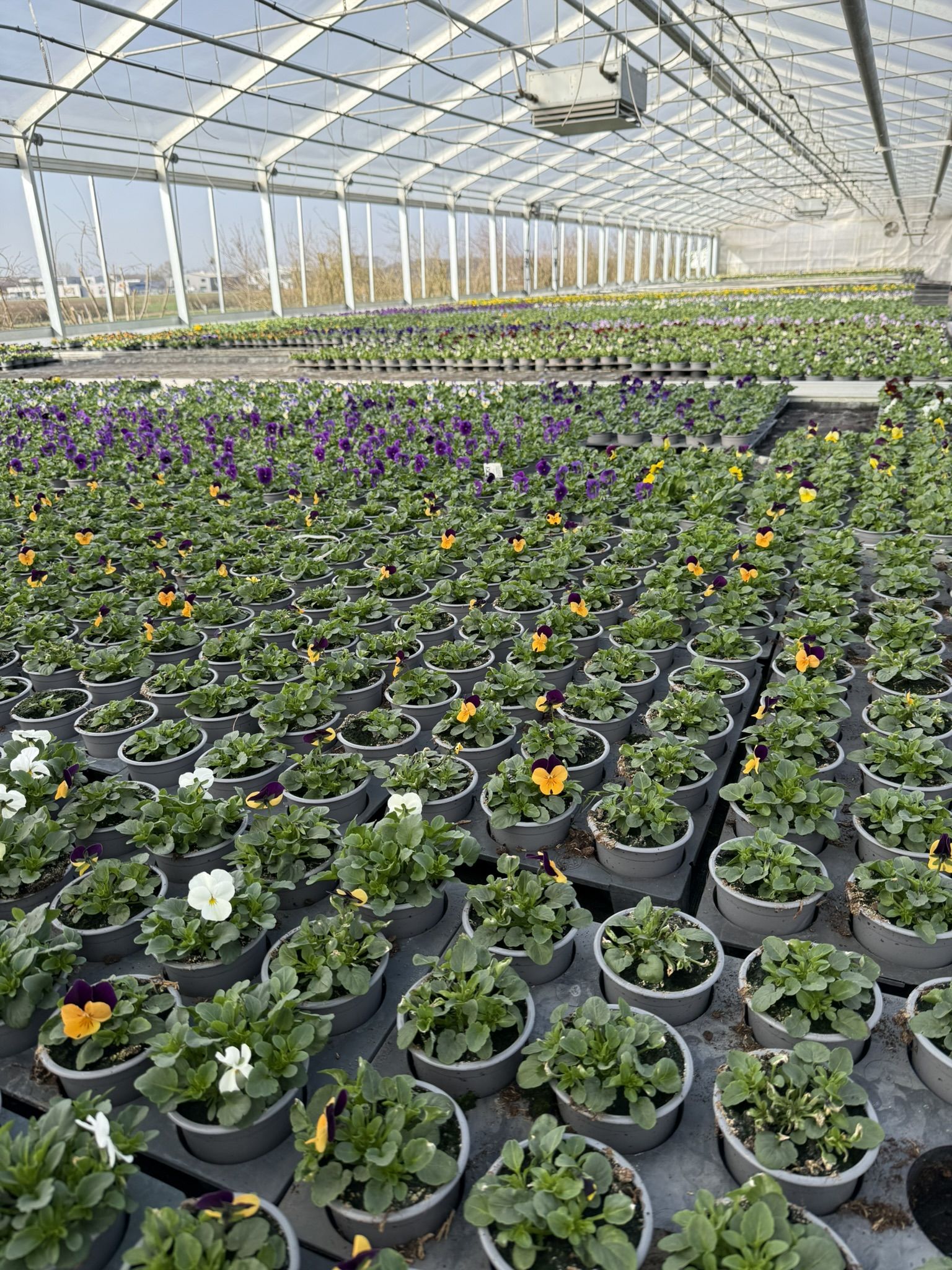 Beispielarbeit von 1 A Garten Zitzelsberger - veröffentlicht auf Gartenbau.org