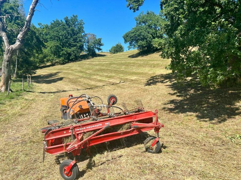 Beispielarbeit von BICHLMEIER Landschaftspflege - veröffentlicht auf Gartenbau.org