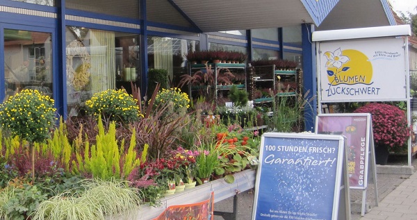 Beispielarbeit von Blumen Zuckschwert - veröffentlicht auf Gartenbau.org