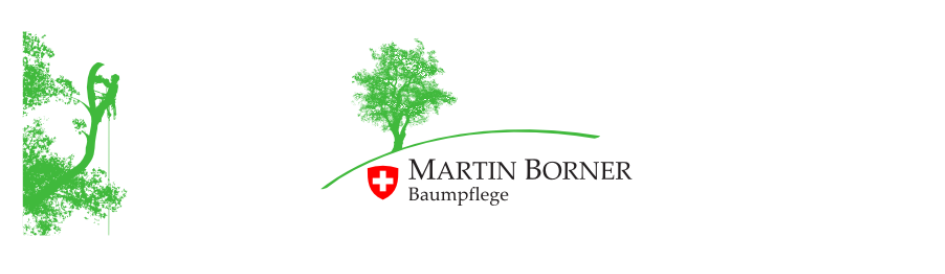 Beispielarbeit von Baumpflege Borner - European Treeworker - veröffentlicht auf Gartenbau.org