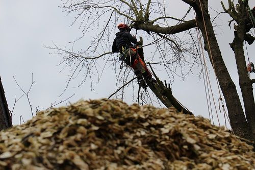 Beispielarbeit von Wendling GbR - veröffentlicht auf Gartenbau.org