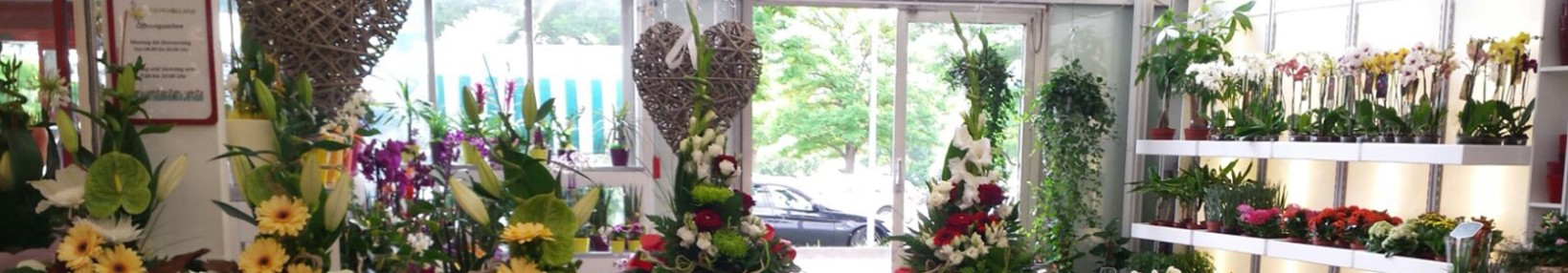 Fleur Holland GmbH cover image