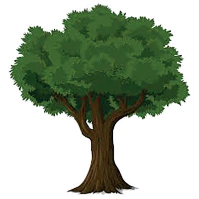 Logo der Firma Bäume und Sträucher Martin Mottier aus Nürnberg auf dem Branchenportal Gartenbau.org