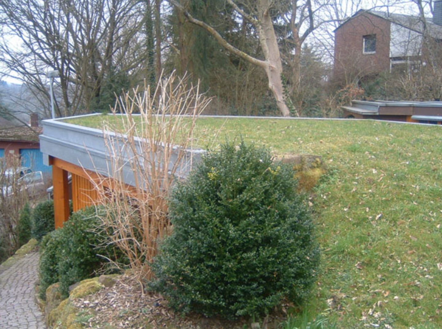 Beispielarbeit von Koch Garten- und Landschaftsbau GmbH - veröffentlicht auf Gartenbau.org