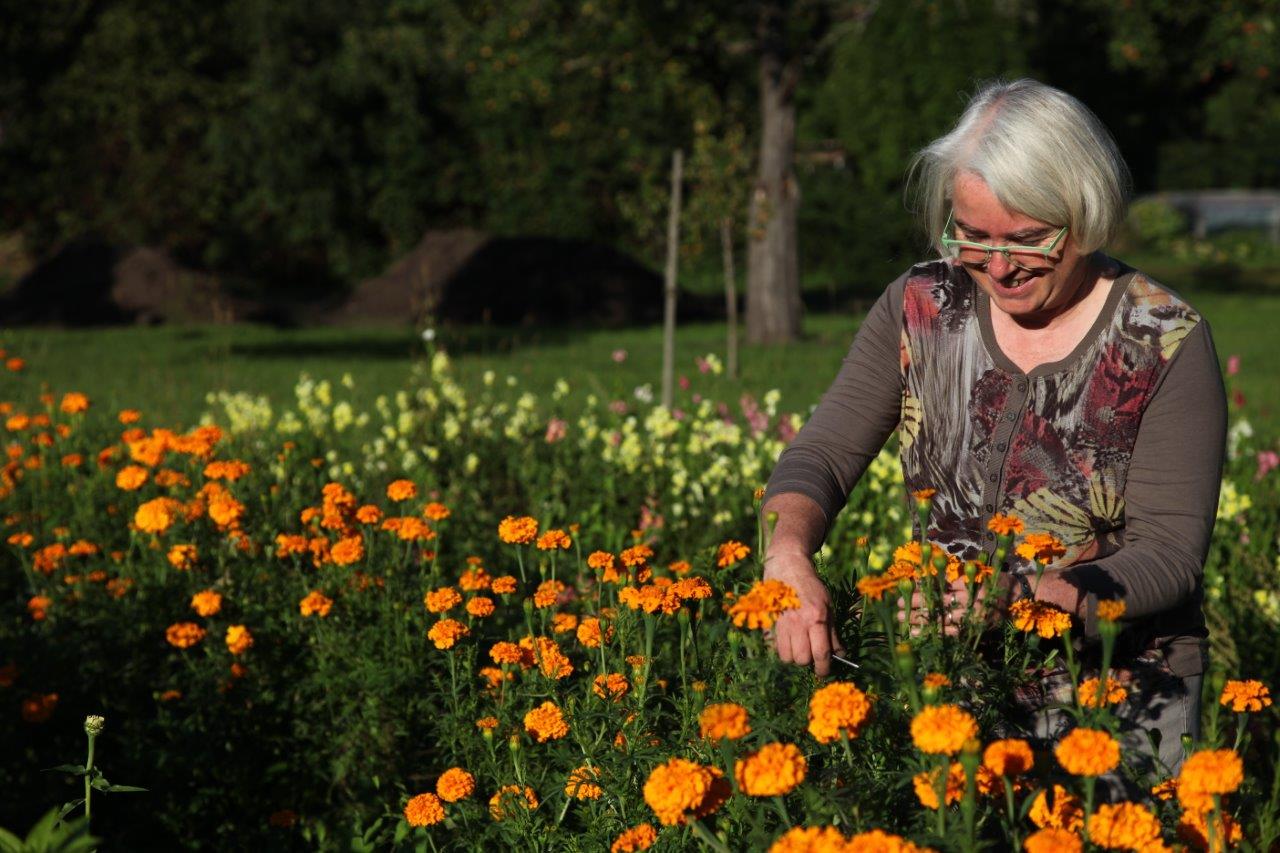 Beispielarbeit von Blumen-Gärtnerei Müller - veröffentlicht auf Gartenbau.org