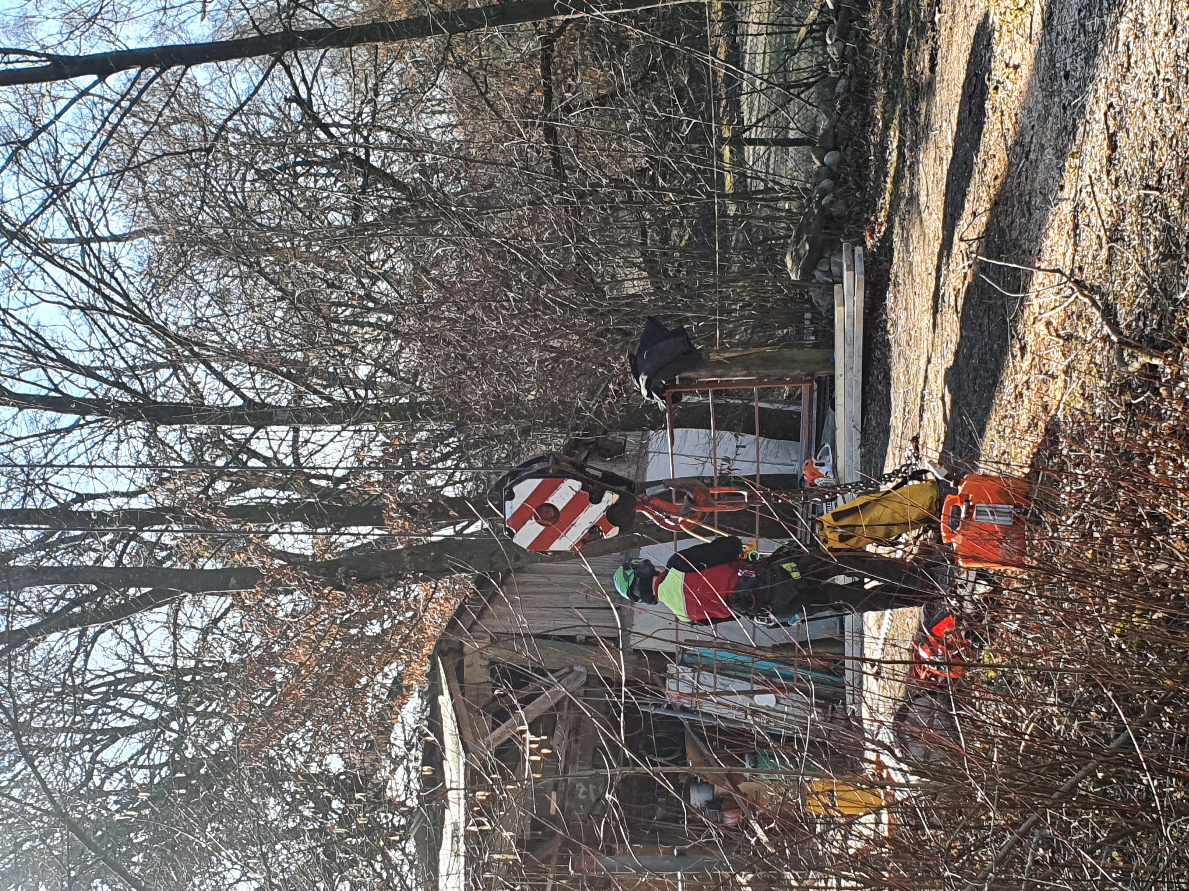 Beispielarbeit von Baumpflege Baumring - veröffentlicht auf Gartenbau.org
