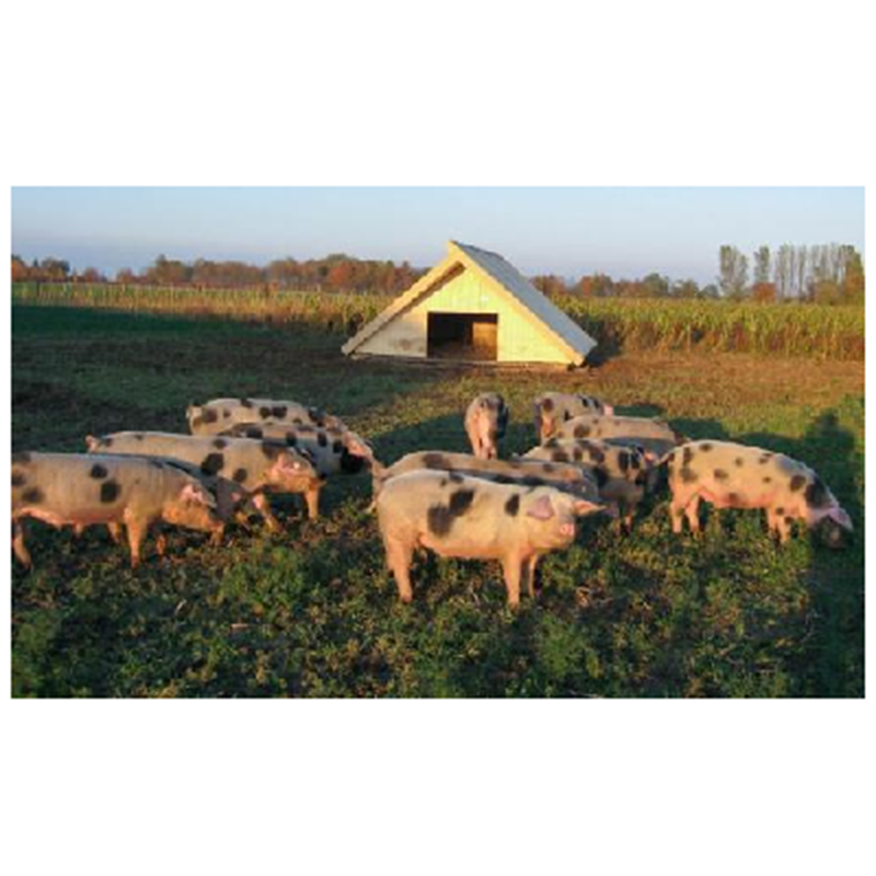 Beispielarbeit von Klaus Gröbmayr GmbH Zimmerei - Holzbau - veröffentlicht auf Tischler-Schreiner.org