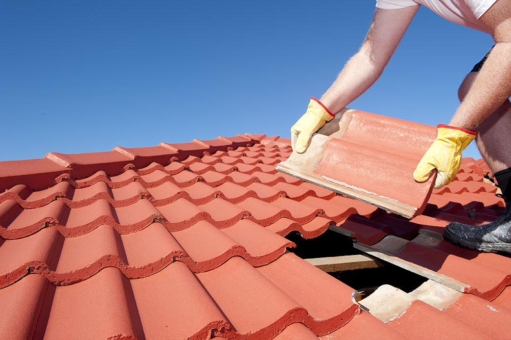 Beispielarbeit von Dachdeckerei Erwin Feiler GmbH Balkonsanierung - Fenstermontage - veröffentlicht auf Dachdecker.com