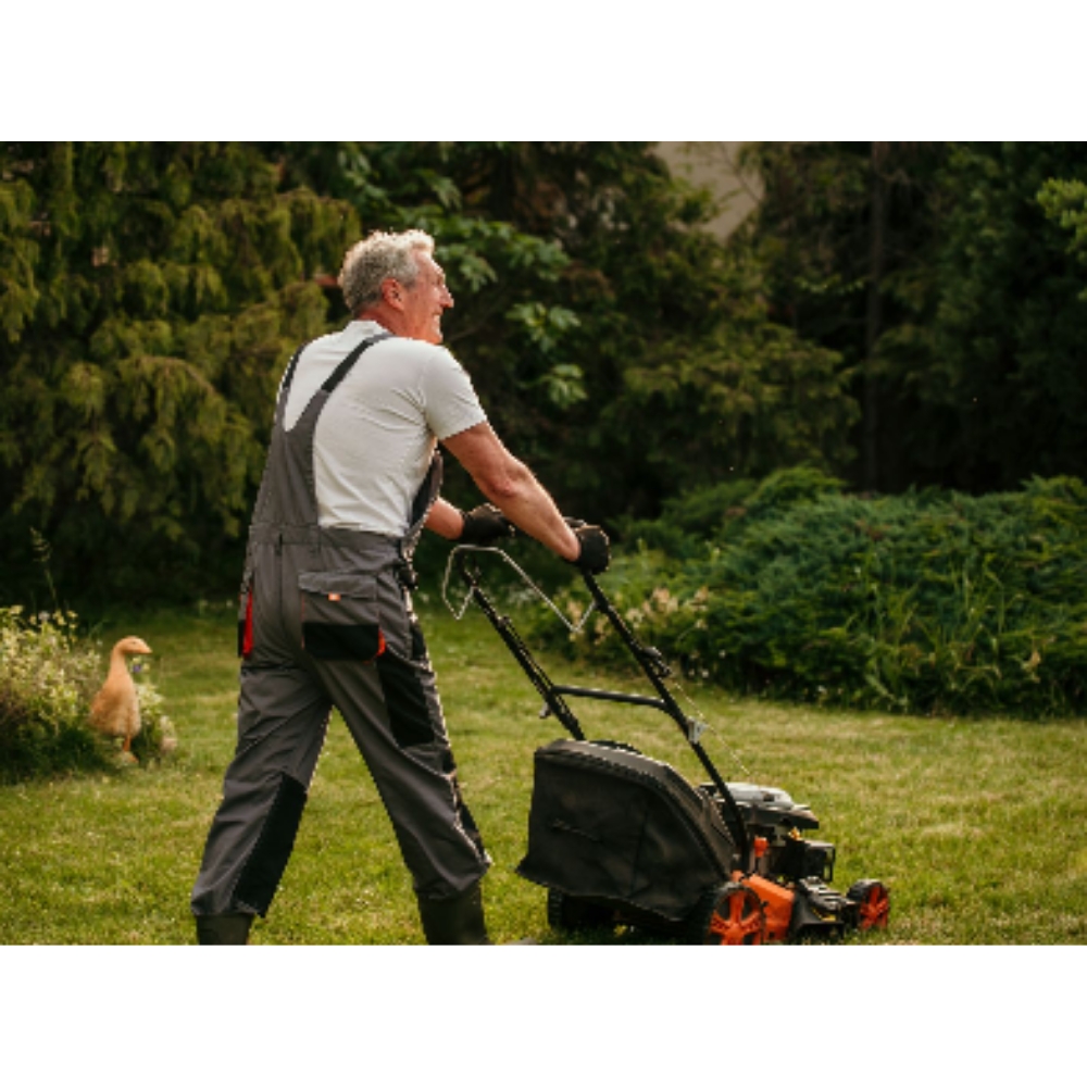 Beispielarbeit von HGBau-Pahrmann - veröffentlicht auf Hausmeisterdienste.net