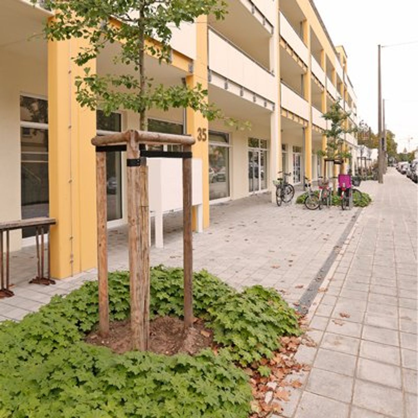 Beispielarbeit von Nordgrün Nürnberg - veröffentlicht auf Gartenbau.org