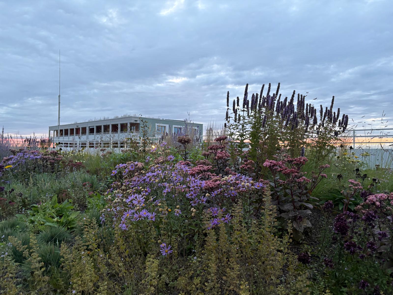 Beispielarbeit von Lampertsdörfer Landschaftsbau GmbH & Co. KG - veröffentlicht auf Gartenbau.org