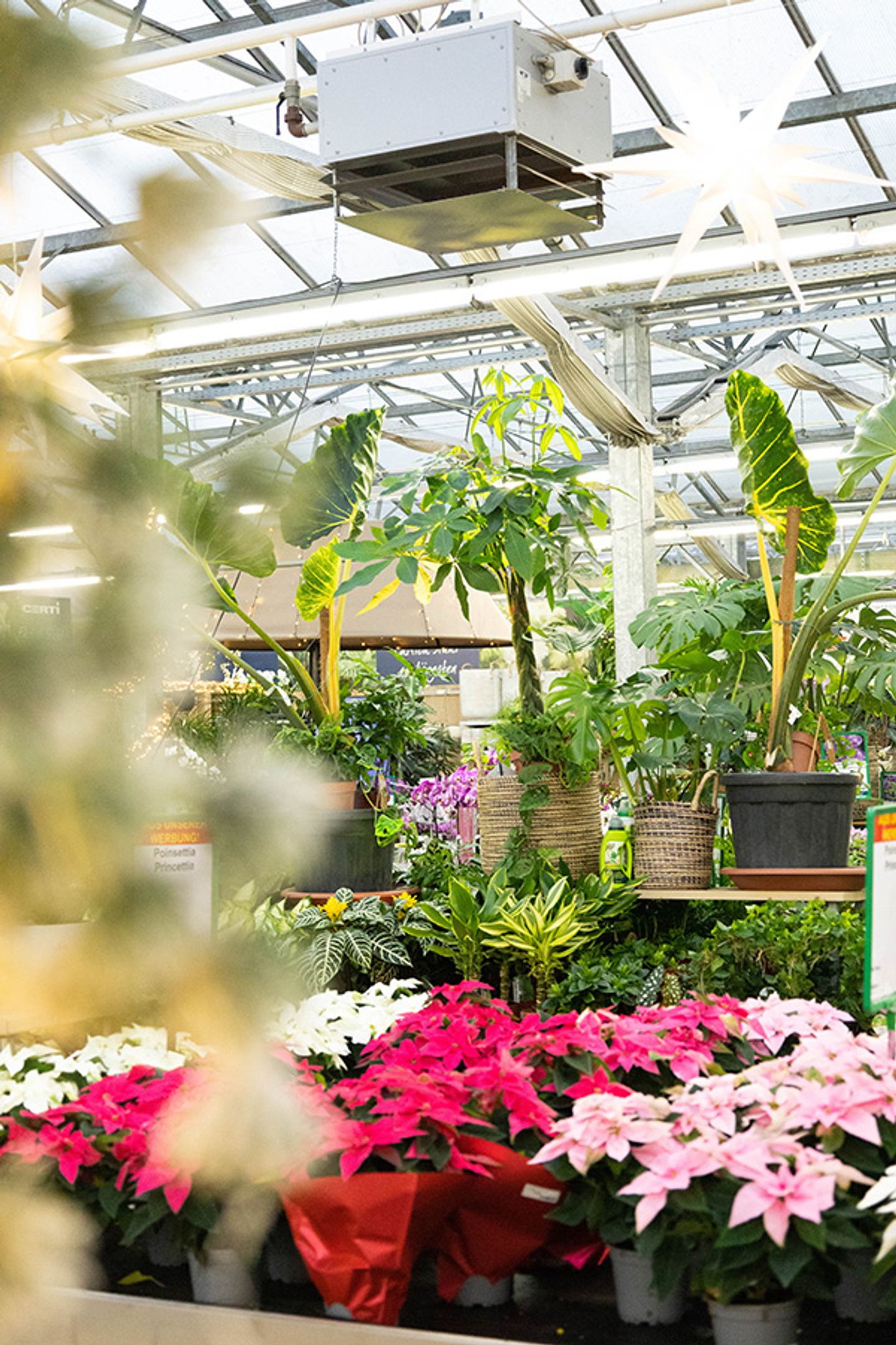 Beispielarbeit von Garten-Center Spiering GmbH Wesel - veröffentlicht auf Gartenbau.org