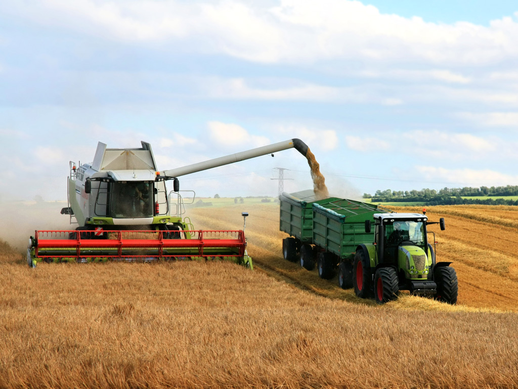 Beispielarbeit von KS LandService GmbH - veröffentlicht auf Gartenbau.org