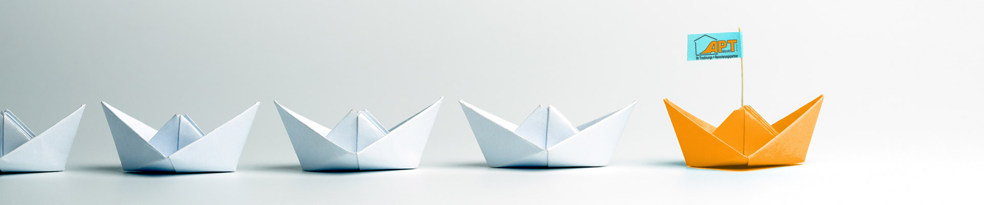 APT Pätzold GmbH & Co. KG cover image